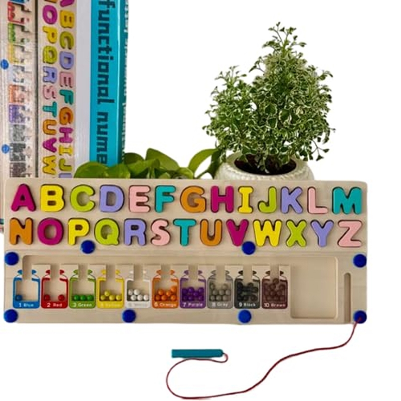 Study Magnetic Maze Board 4