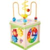 Activity Cube 6